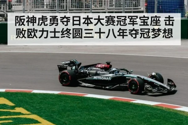 阪神虎勇夺日本大赛冠军宝座 击败欧力士终圆三十八年夺冠梦想